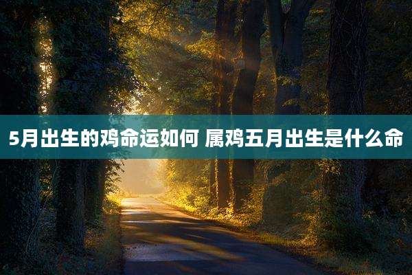 5月出生的鸡命运如何 属鸡五月出生是什么命