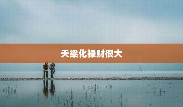 天梁化禄财很大