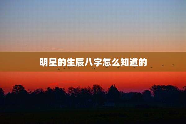 明星的生辰八字怎么知道的