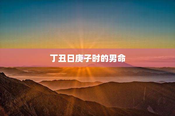 丁丑日庚子时的男命
