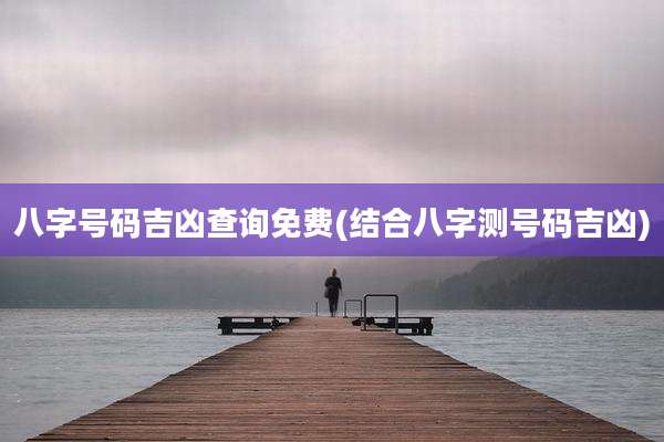 八字号码吉凶查询免费(结合八字测号码吉凶)