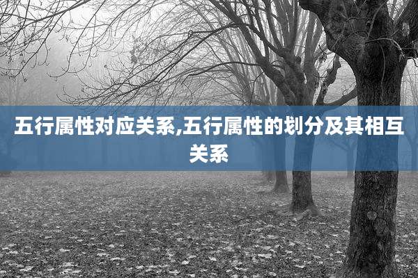 五行属性对应关系,五行属性的划分及其相互关系