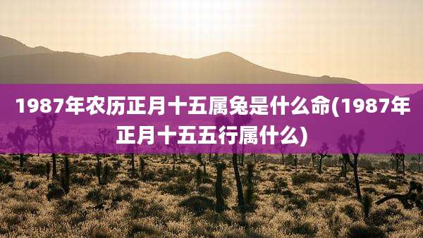 1987年农历正月十五属兔是什么命(1987年正月十五五行属什么)