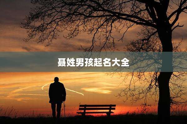 聂姓男孩起名大全