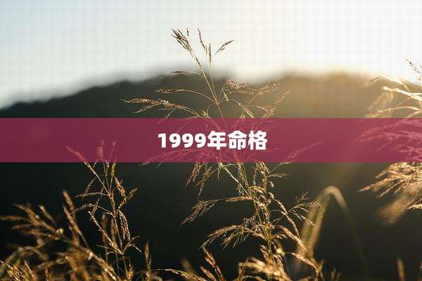 1999年命格