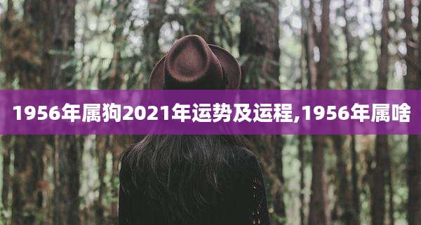 1956年属狗2021年运势及运程,1956年属啥