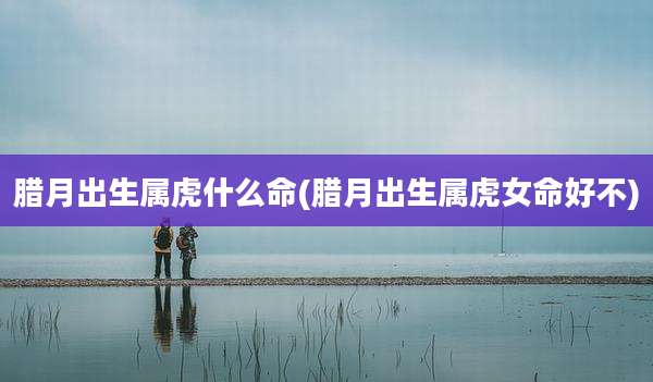 腊月出生属虎什么命(腊月出生属虎女命好不)