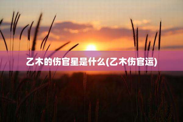 乙木的伤官星是什么(乙木伤官运)