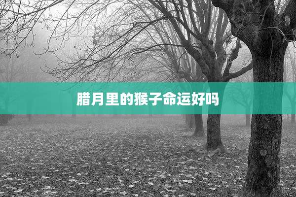 腊月里的猴子命运好吗