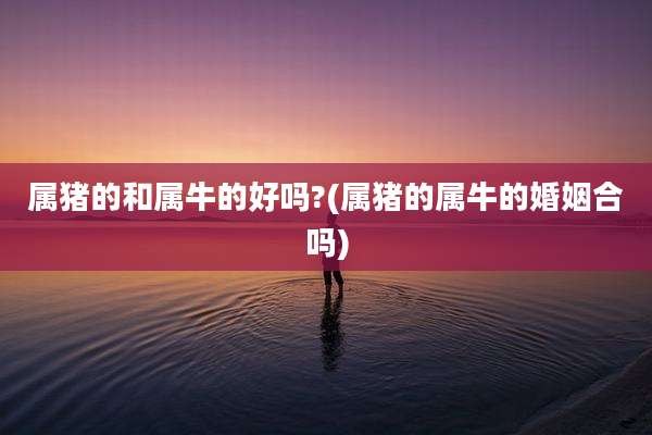 属猪的和属牛的好吗?(属猪的属牛的婚姻合吗)