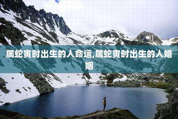 属蛇寅时出生的人命运,属蛇寅时出生的人婚姻