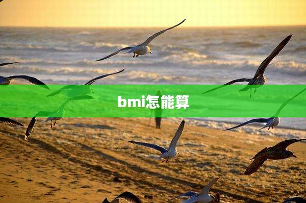 bmi怎能算