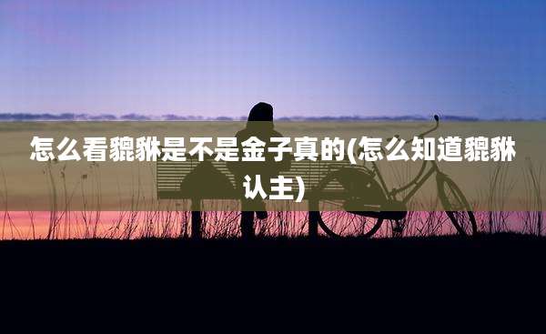 怎么看貔貅是不是金子真的(怎么知道貔貅认主)