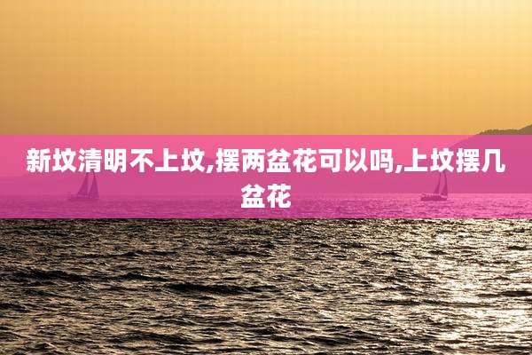 新坟清明不上坟,摆两盆花可以吗,上坟摆几盆花