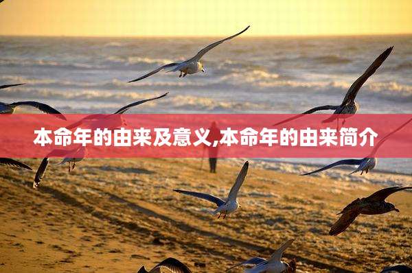本命年的由来及意义,本命年的由来简介