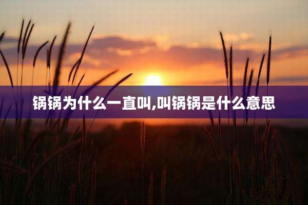 锅锅为什么一直叫,叫锅锅是什么意思