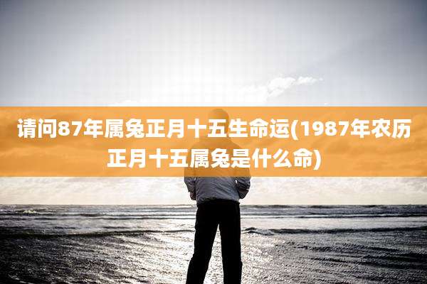 请问87年属兔正月十五生命运(1987年农历正月十五属兔是什么命)