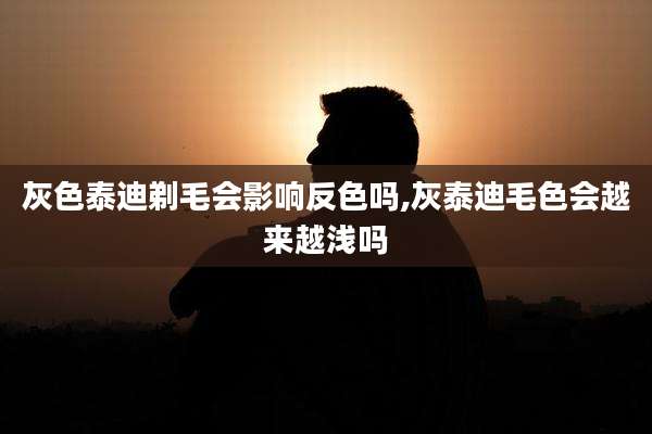 灰色泰迪剃毛会影响反色吗,灰泰迪毛色会越来越浅吗