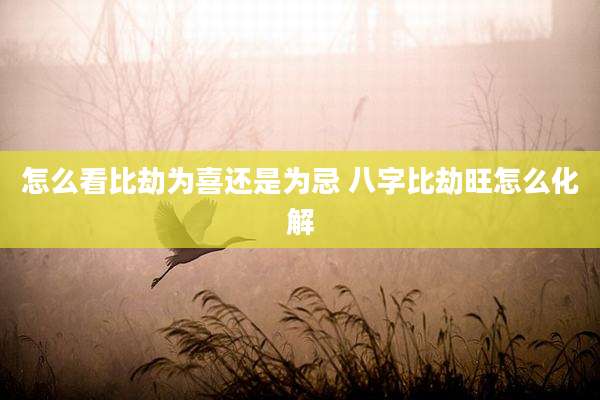 怎么看比劫为喜还是为忌 八字比劫旺怎么化解