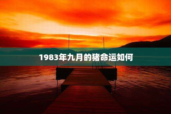 1983年九月的猪命运如何