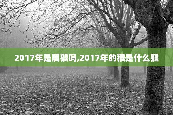 2017年是属猴吗,2017年的猴是什么猴