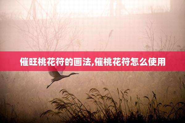 催旺桃花符的画法,催桃花符怎么使用