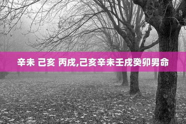辛未 己亥 丙戌,己亥辛未壬戌癸卯男命