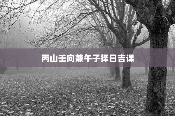 丙山壬向兼午子择日吉课