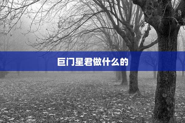 巨门星君做什么的
