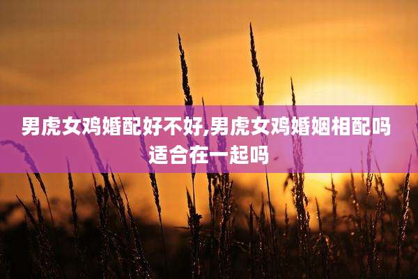 男虎女鸡婚配好不好,男虎女鸡婚姻相配吗 适合在一起吗