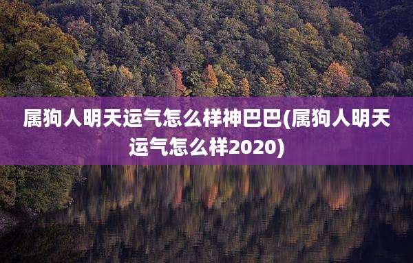 属狗人明天运气怎么样神巴巴(属狗人明天运气怎么样2020)