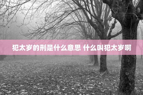 犯太岁的刑是什么意思 什么叫犯太岁啊