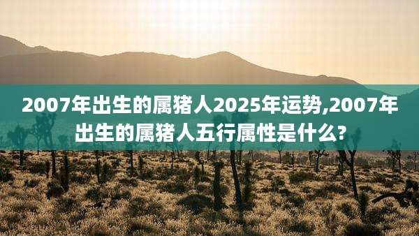 2007年出生的属猪人2025年运势,2007年出生的属猪人五行属性是什么?
