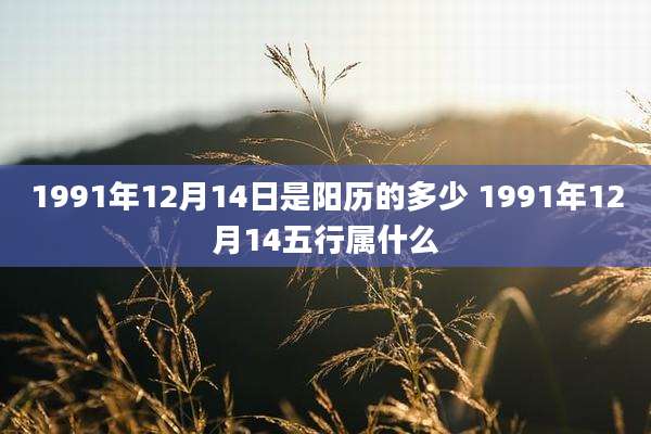 1991年12月14日是阳历的多少 1991年12月14五行属什么