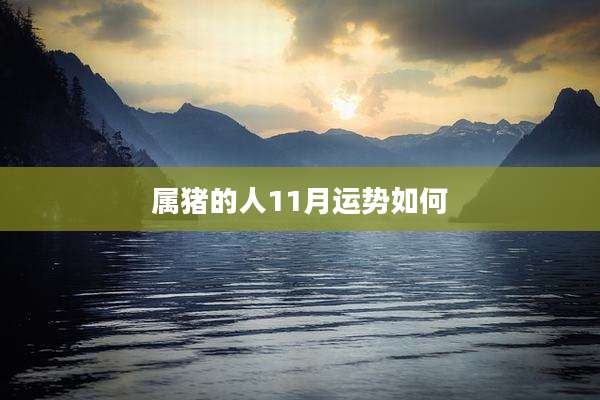 属猪的人11月运势如何
