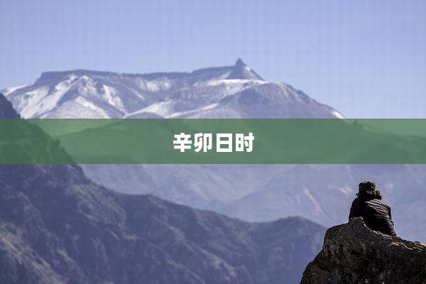辛卯日时