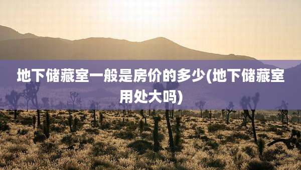 地下储藏室一般是房价的多少(地下储藏室用处大吗)