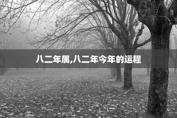 八二年属,八二年今年的运程