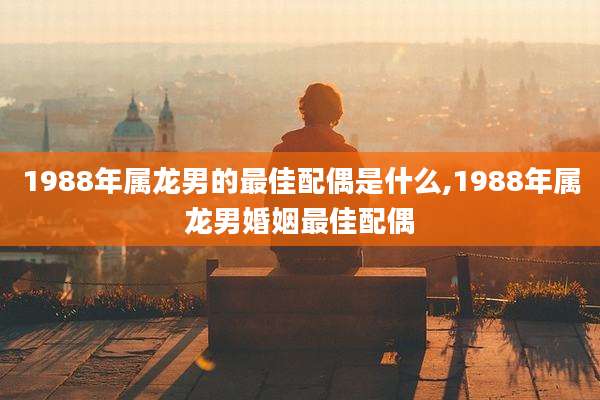 1988年属龙男的最佳配偶是什么,1988年属龙男婚姻最佳配偶