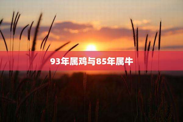 93年属鸡与85年属牛