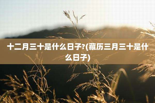 十二月三十是什么日子?(藏历三月三十是什么日子)