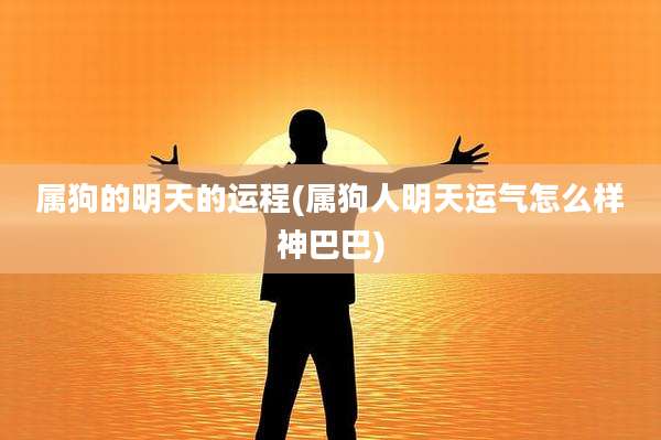 属狗的明天的运程(属狗人明天运气怎么样神巴巴)
