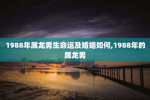 1988年属龙男生命运及婚姻如何,1988年的属龙男