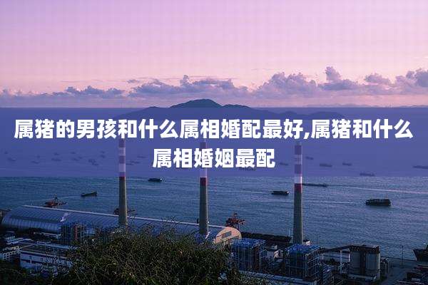 属猪的男孩和什么属相婚配最好,属猪和什么属相婚姻最配