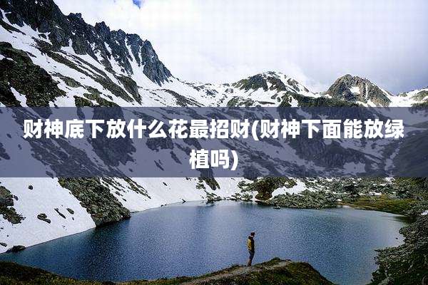 财神底下放什么花最招财(财神下面能放绿植吗)