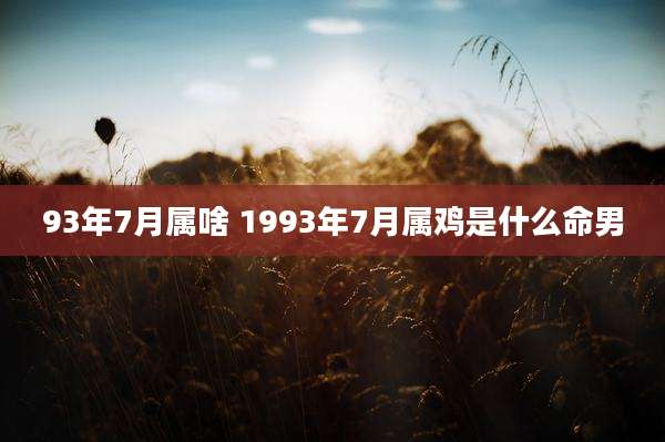 93年7月属啥 1993年7月属鸡是什么命男