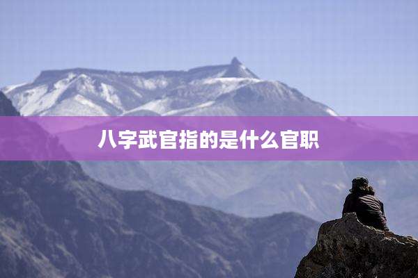 八字武官指的是什么官职