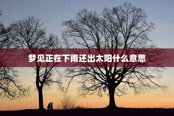 梦见正在下雨还出太阳什么意思