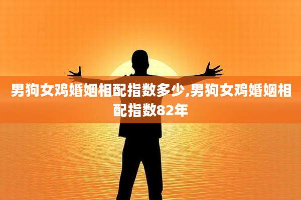 男狗女鸡婚姻相配指数多少,男狗女鸡婚姻相配指数82年