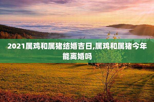 2021属鸡和属猪结婚吉日,属鸡和属猪今年能离婚吗